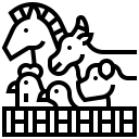 مواشي وحيوانات وطيور